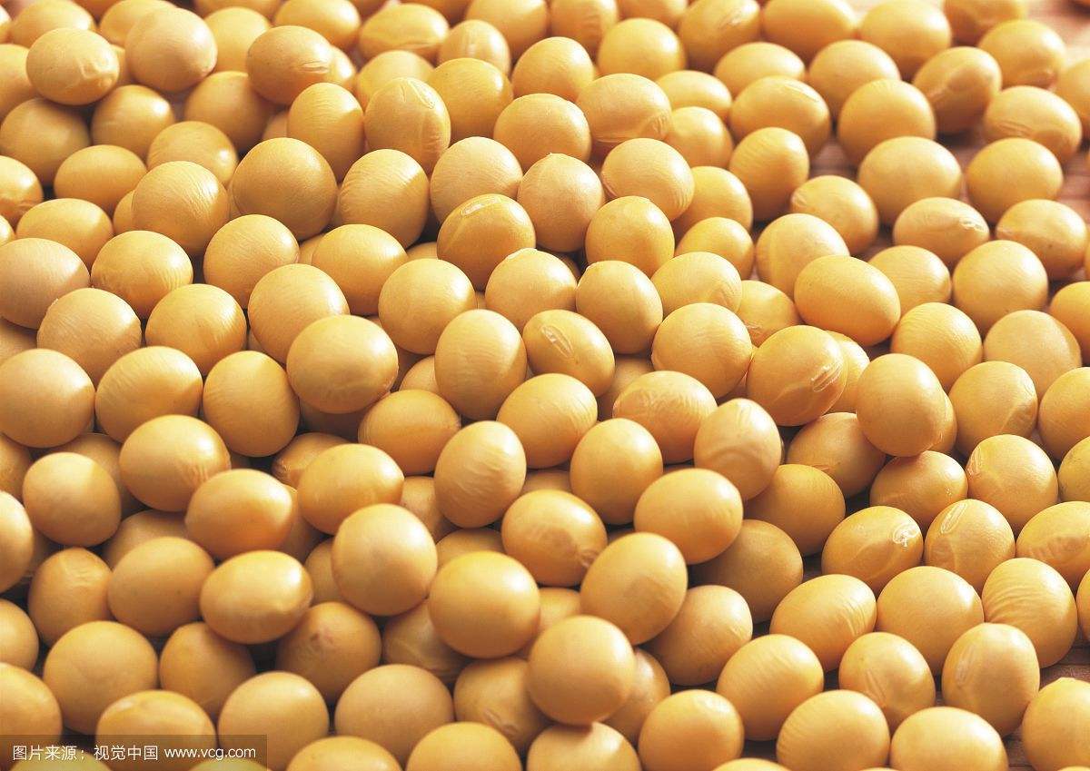 中美经贸摩擦升级:对冲基金血洗美大豆 巴西坐